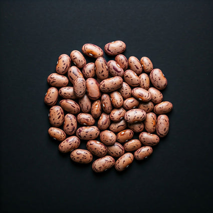 Dry Beans