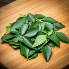 Curry Leaves-Lbs : Per Lbs